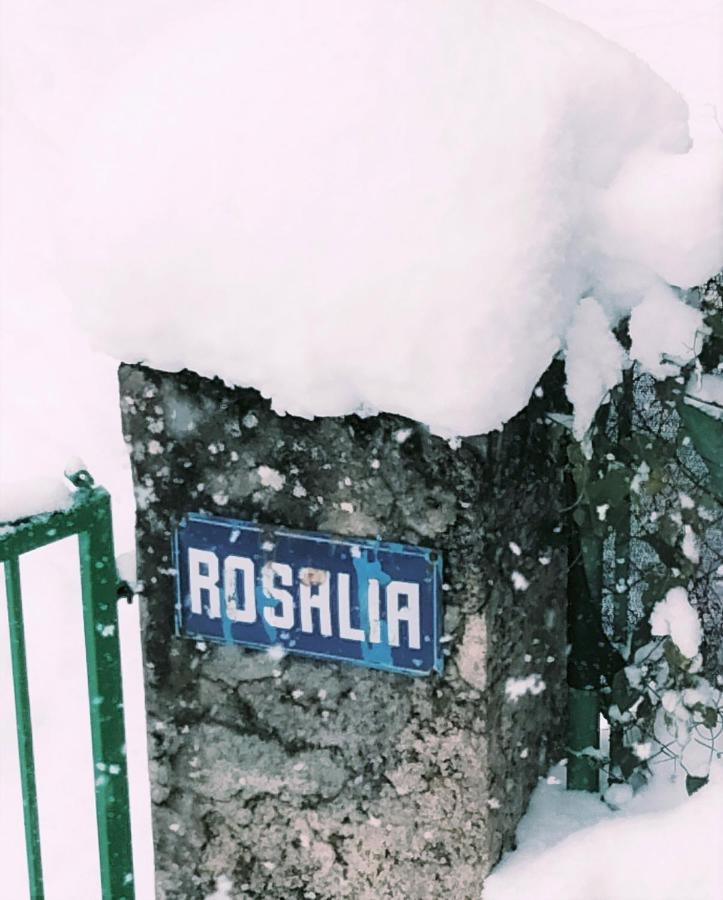 Villa Rosalia Villanúa Eksteriør billede